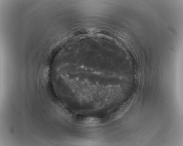 X0000114590319200911091302