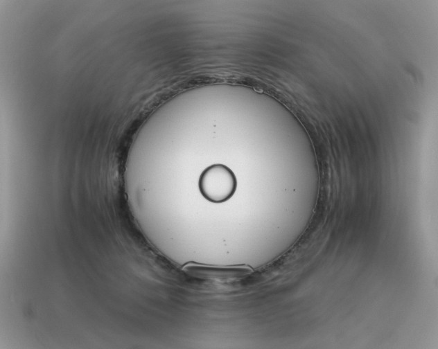 X0000114590320200911091302