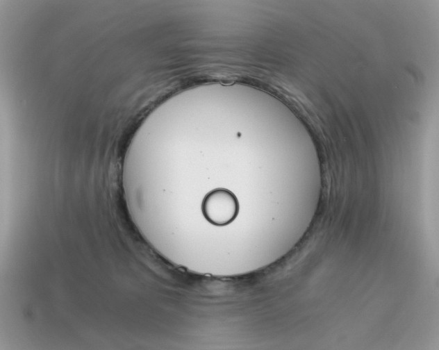 X0000114590325200911091302