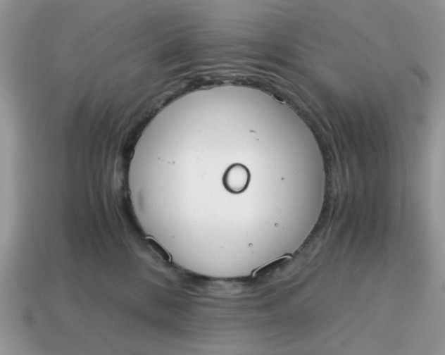 X0000114590328200911091302