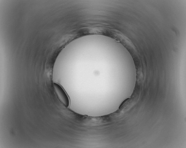 X0000114590329200911091302