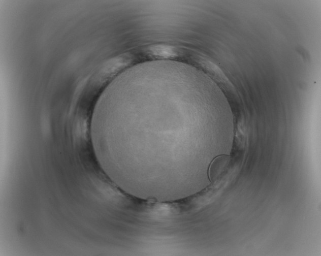 X0000114590330200911091302