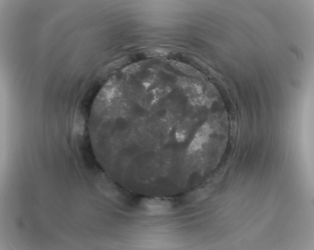 X0000114590331200911091302