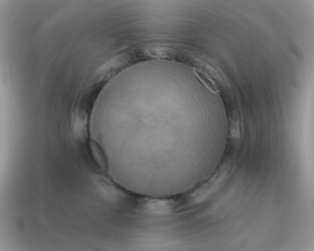 X0000114590332200911091302