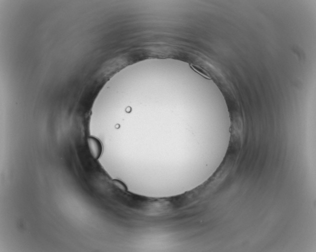 X0000114590333200911091302