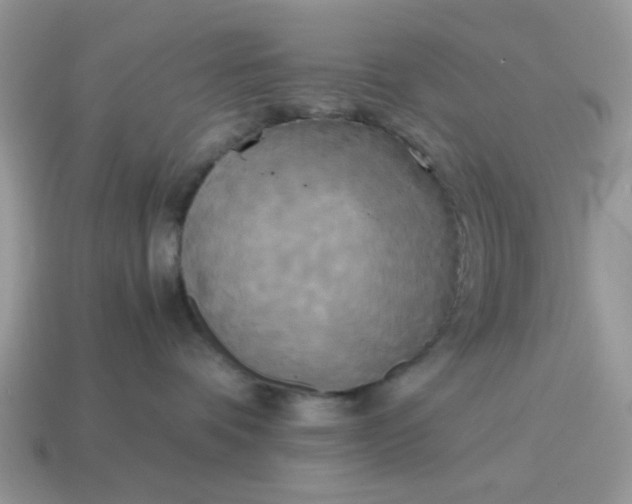 X0000114590336200911091301