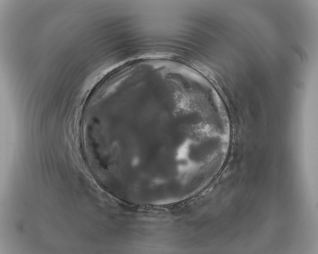 X0000114590337200911091301