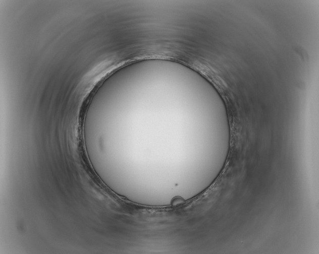 X0000114590338200911091301