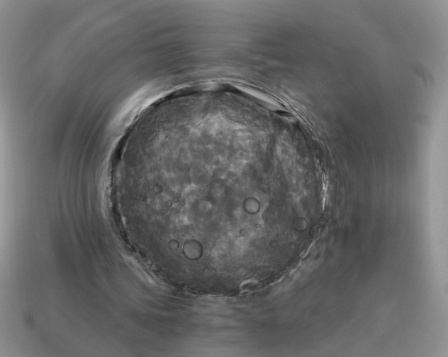 X0000114590339200911091301