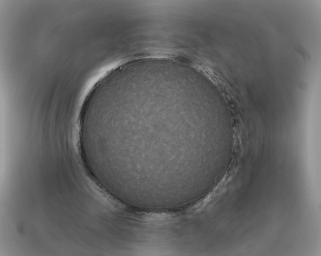 X0000114590342200911091301