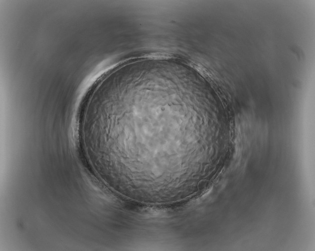 X0000114590343200911091301