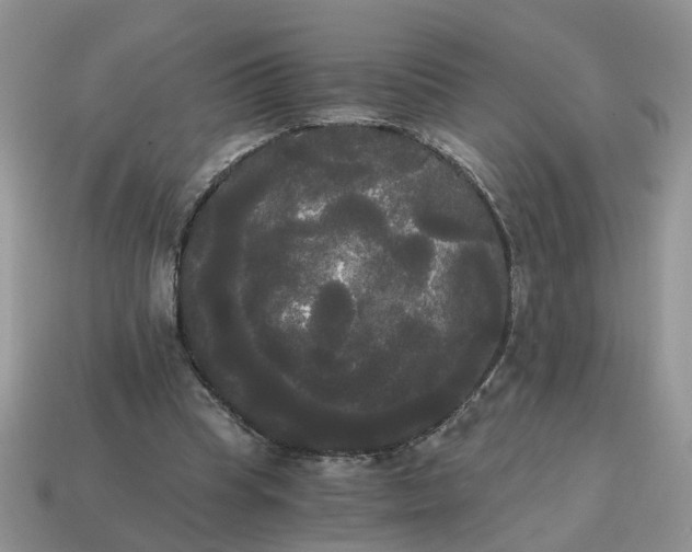 X0000114590345200911091301