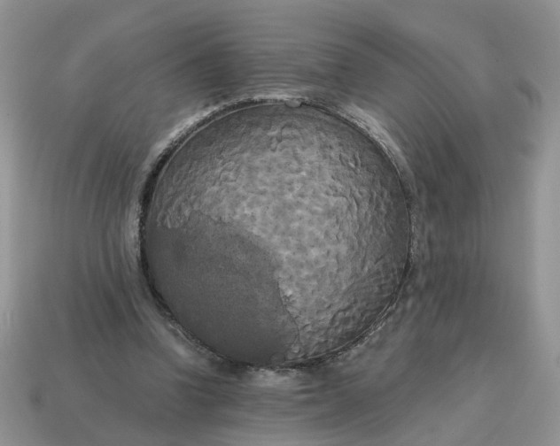 X0000114590346200911091301