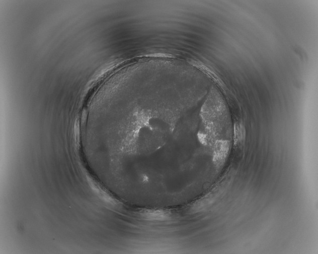 X0000114590349200911091301