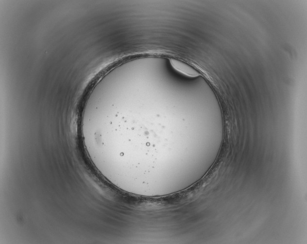 X0000114590350200911091301