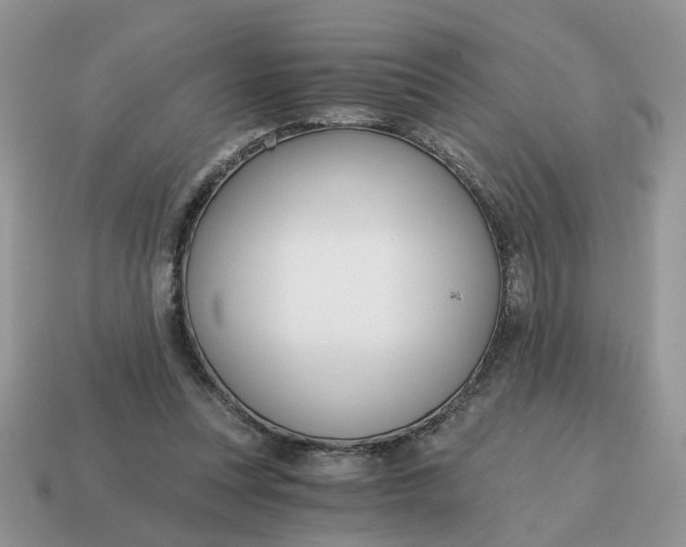 X0000114590351200911091301