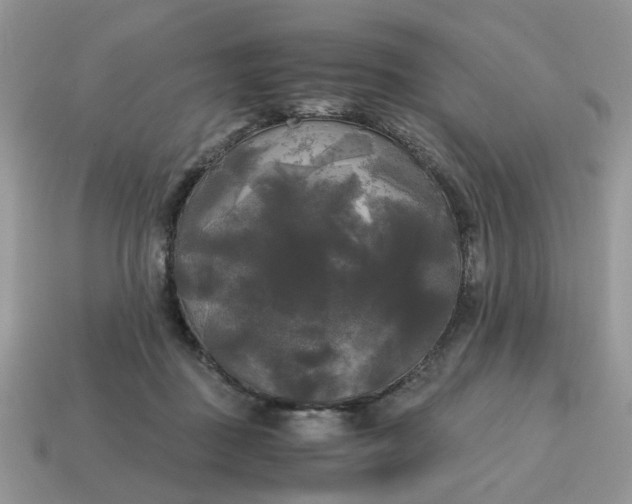 X0000114590363200911091301