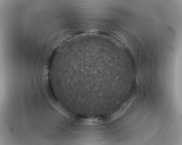 X0000114590366200911091301