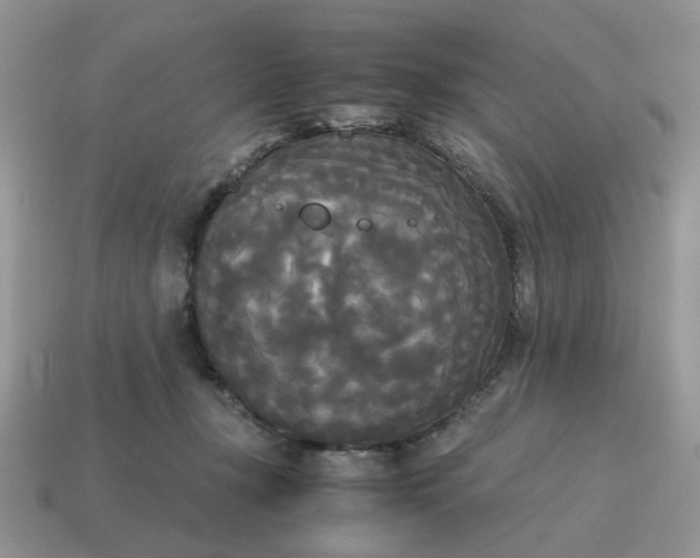 X0000114590367200911091301