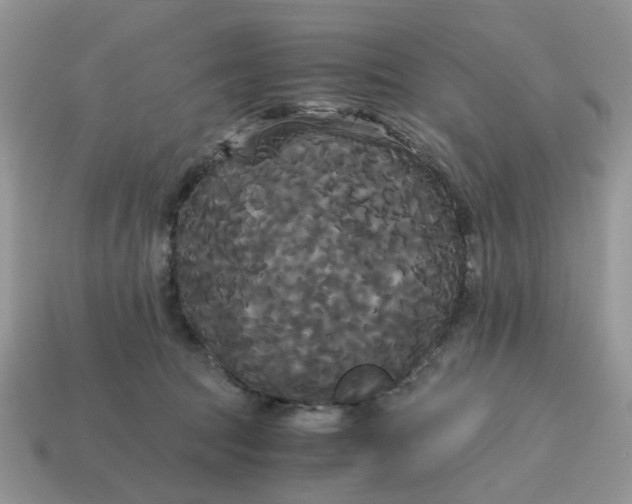 X0000114590369200911091301