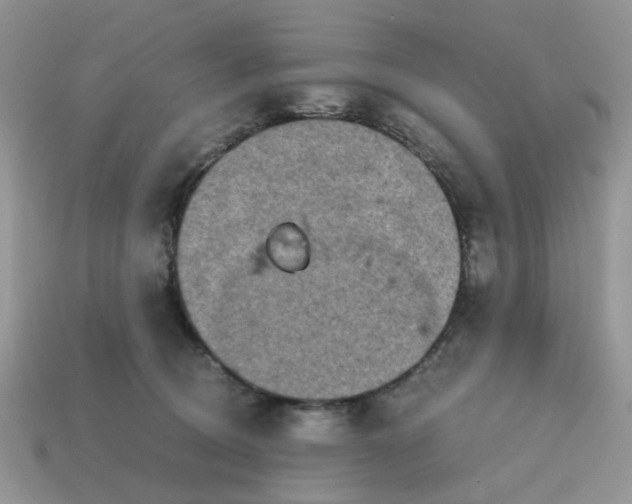 X0000114590370200911091301