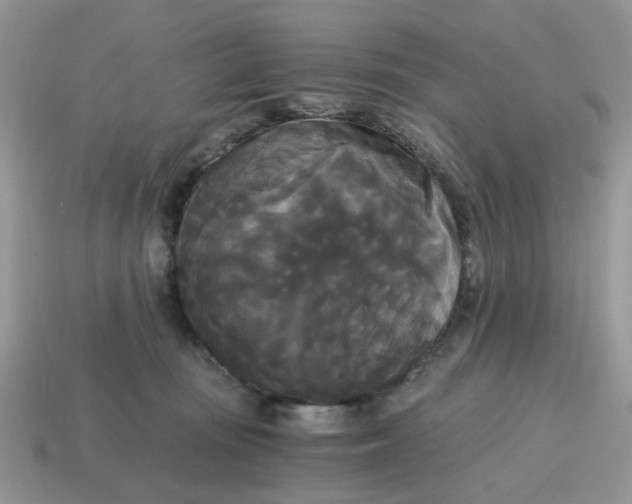 X0000114590371200911091301