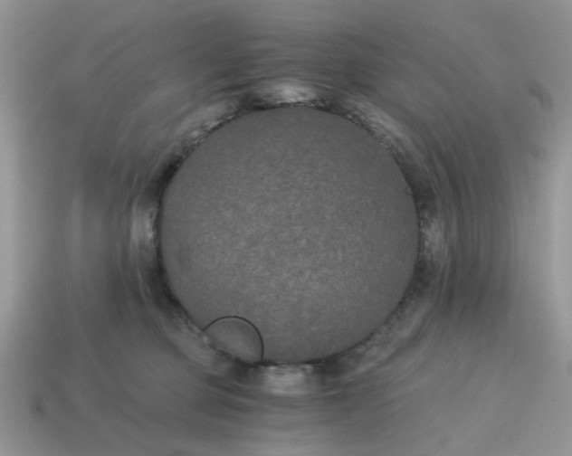 X0000114590373200911091301