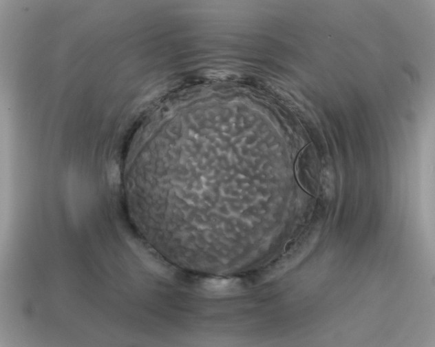 X0000114590375200911091301