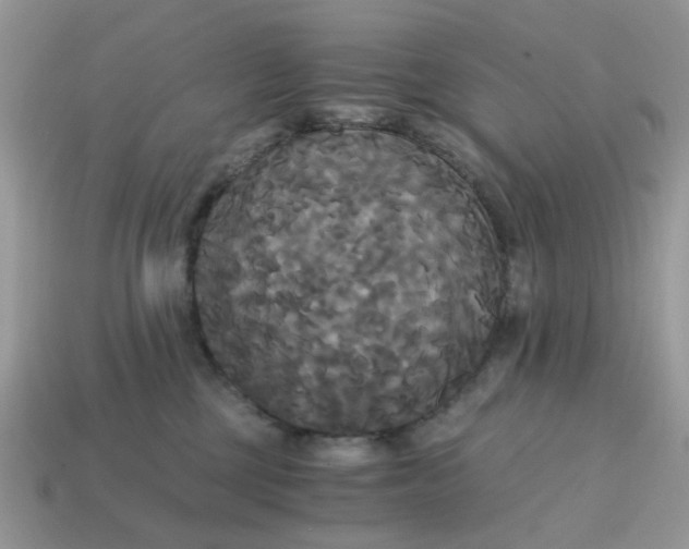 X0000114590377200911091301