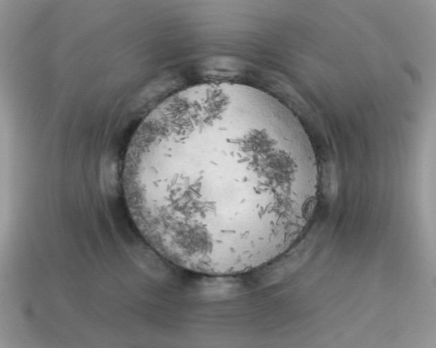 X0000114590378200911091301