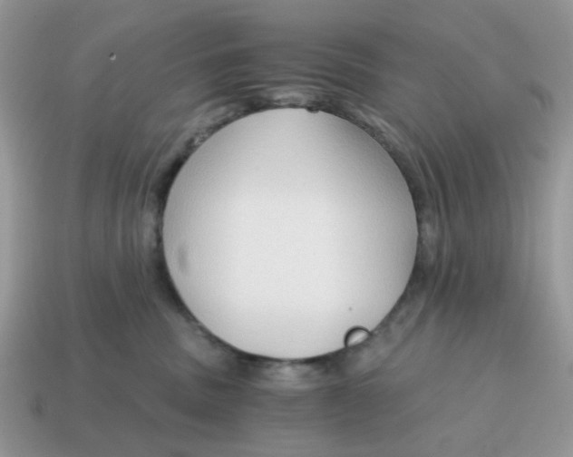 X0000114590379200911091301