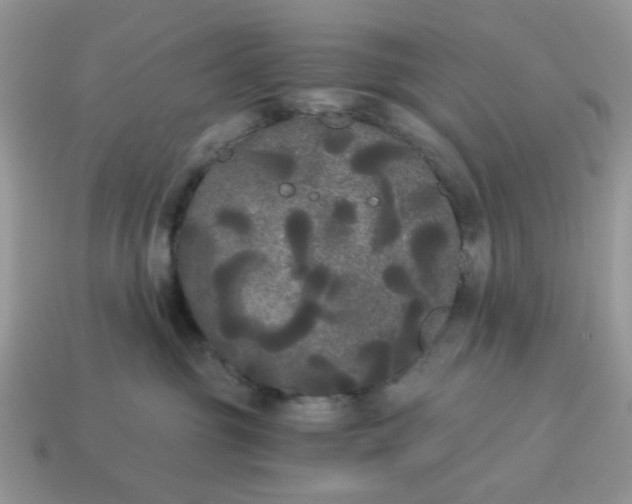 X0000114590381200911091301