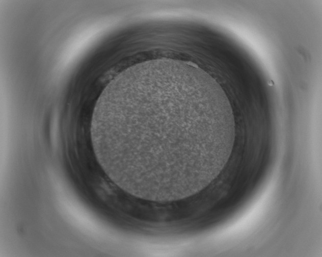 X0000114590382200911091301