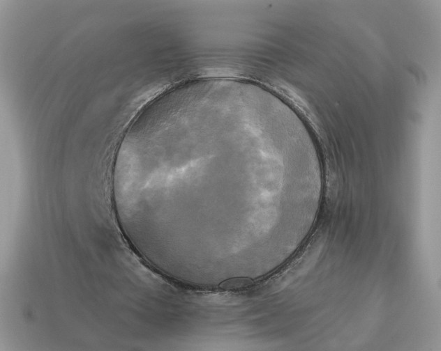 X0000114590385200911091301