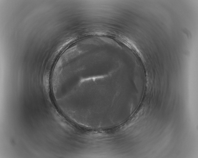 X0000114590386200911091301