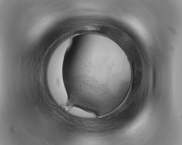 X0000114590387200911091301