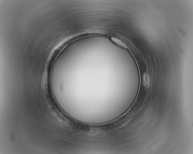 X0000114590388200911091301