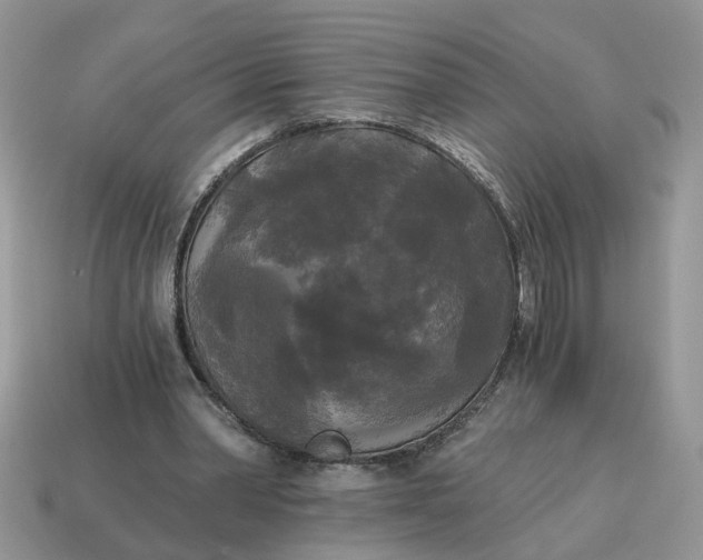 X0000114590390200911091301