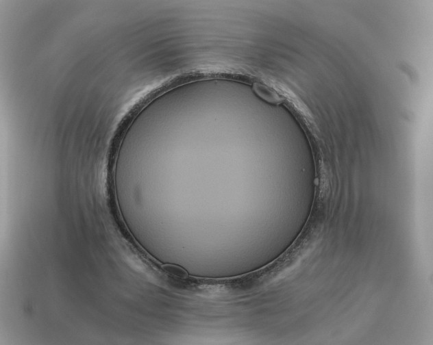 X0000114590391200911091301