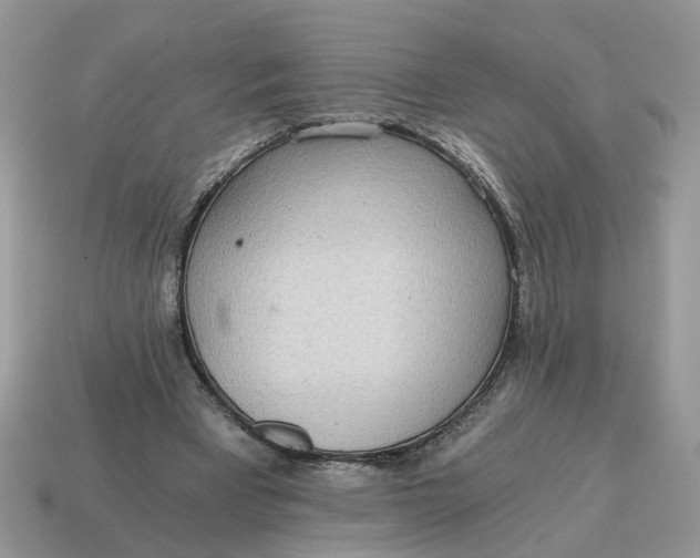 X0000114590393200911091301