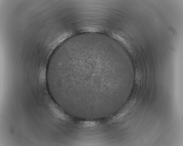 X0000114590394200911091301