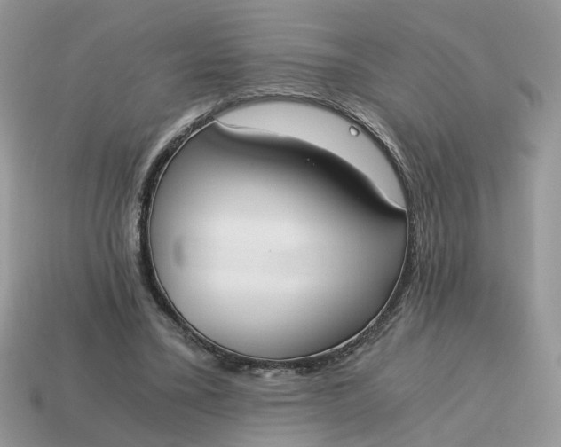 X0000114590395200911091301