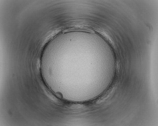 X0000114590397200911091301