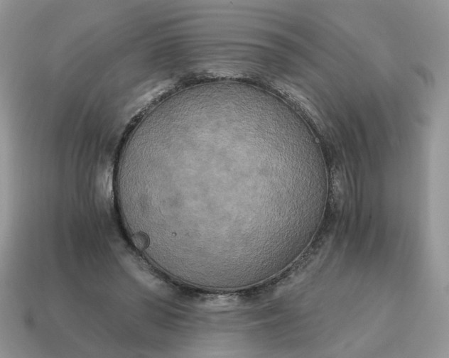 X0000114590398200911091301