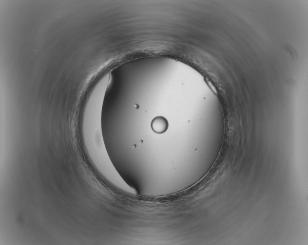 X0000114590399200911091301