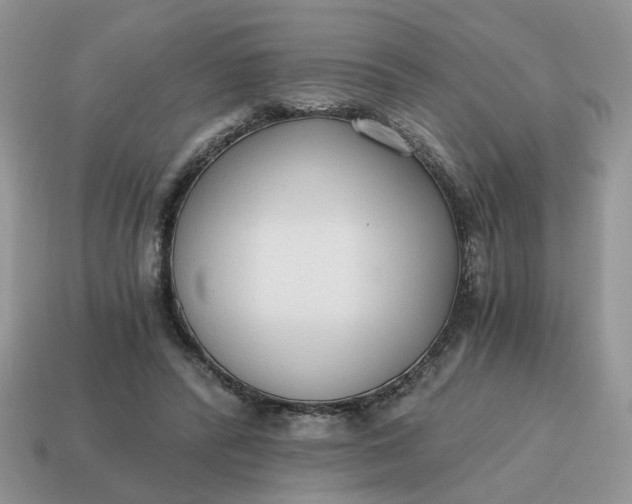 X0000114590400200911091301