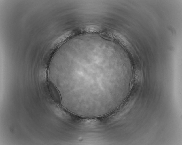 X0000114590401200911091301