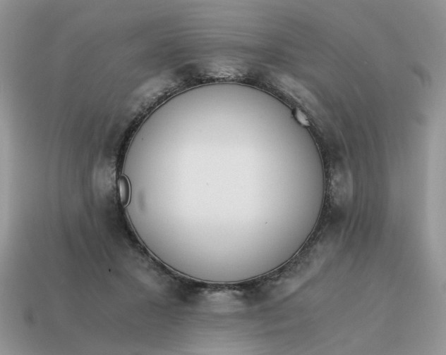 X0000114590407200911091301