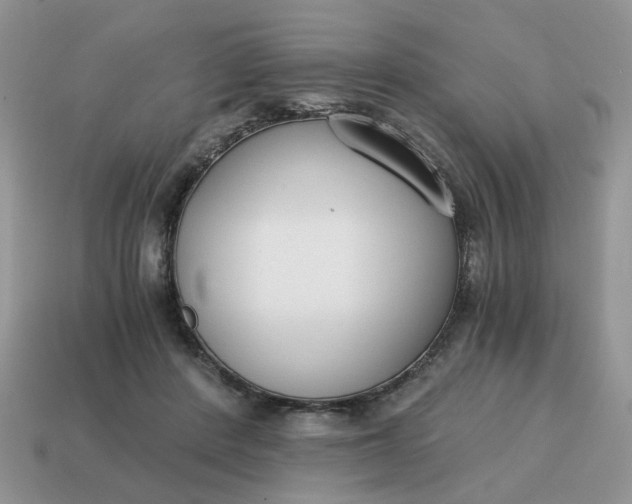 X0000114590408200911091301