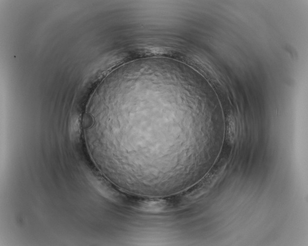 X0000114590410200911091301